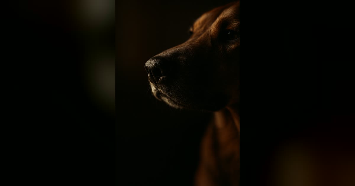 飼い犬は、息のにおいで肺がんを当てられる？