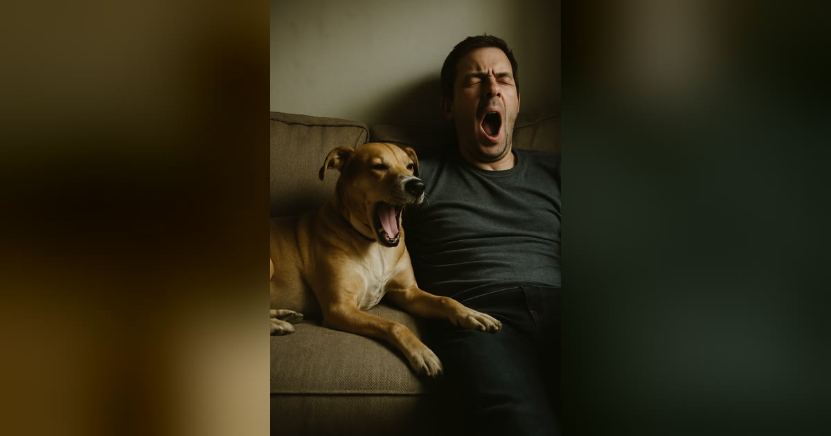犬にも、人のあくびはうつるの？
